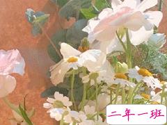 夏至节气经典句子 2020夏至说说优美好听