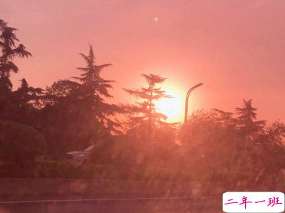 每日打卡说说正能量 最新打卡说说经典大全1