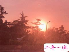 每日打卡说说正能量 最新打卡说说经典大全