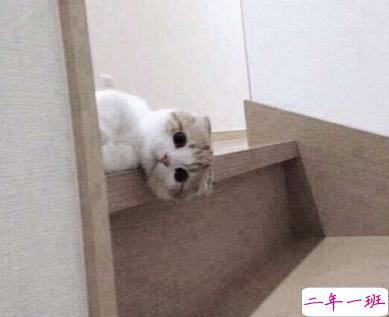 在家无聊时发的文案 无聊说说个性心情短语1