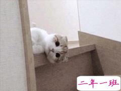 在家无聊时发的文案 无聊说说个性心情短语