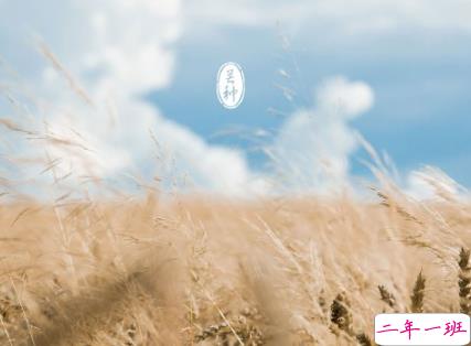 2020芒种说说经典好听 关于芒种的说说微信朋友圈1