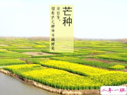 2020芒种说说经典好听 关于芒种的说说微信朋友圈2