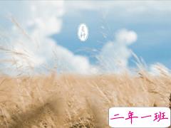 2020芒种说说经典好听 关于芒种的说说微信朋友圈