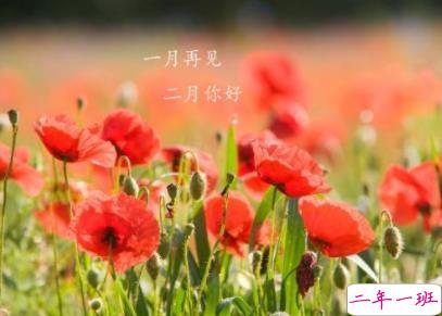 告别一月你好二月个性说说 2020带好运2月说说大全1