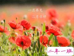 告别一月你好二月个性说说 2020带好运2月说说大全