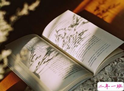 2020全新微信早安心语 最好的不是未来而今天2