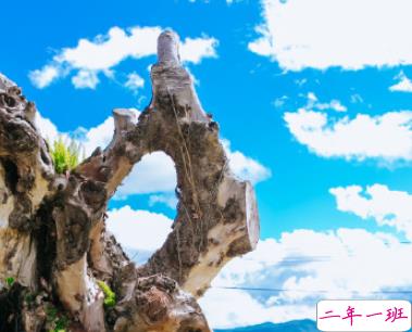 过年旅游说说心情短语 过年旅游朋友圈句子20202