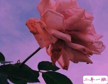 经典且小众的微信说说 值得珍藏的宝藏句子1