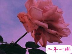 经典且小众的微信说说 值得珍藏的宝藏句子