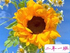 2020母亲节说说写给妈妈的话 母亲节对妈妈的告白大全