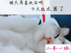 抖音甜甜的晚安文案 可爱女生晚安个性句子