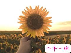 抖音2020年个性说说大全 最新温暖治愈系说说