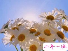 微信早安问候语2020全新 早上好经典语录