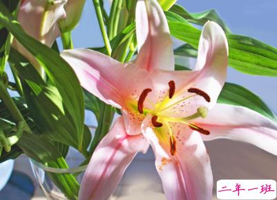 适合复活节送的祝福语 2020复活节经典祝福合集2