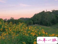 影响你很多年的一句话 人生经典语录大全