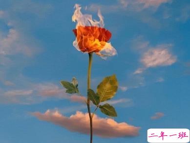 抖音爱情经典语录 看完很有感触的爱情说说1