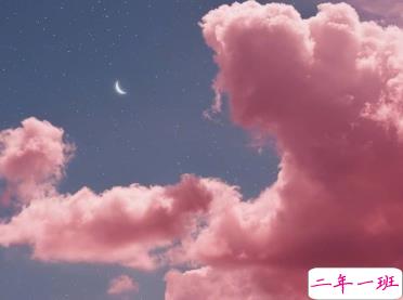 让人温暖的句子经典大全 愿你一生有山可靠有树可栖1