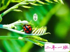 2020惊蛰节气祝福语大全 惊蛰发朋友圈的经典句子