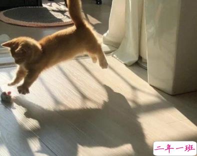 超酷的朋友圈文案 2020最新微信潮流酷句子1