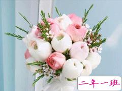 爱情经典语录短句2020最新 甜美的是爱情苦涩的也是爱情