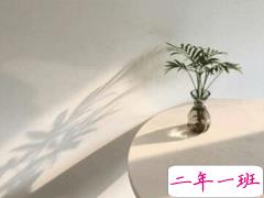 2020最新朋友圈说说 微信个性说说独一无二