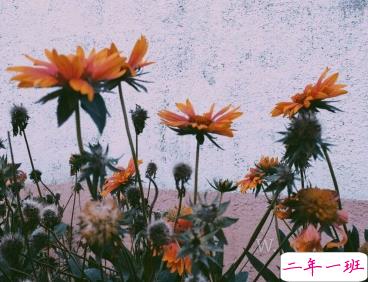 qq扩列说说经典有个性 滚滚红尘市井烟火2