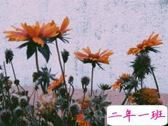 qq扩列说说经典有个性 滚滚红尘市井烟火