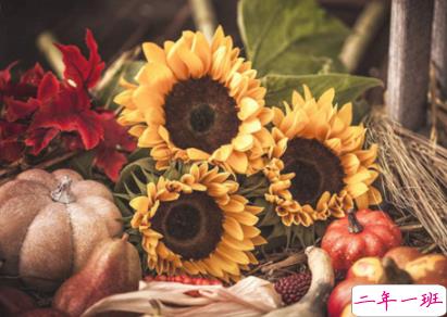 2019感恩节送给老师的一句话祝福 感恩老师的说说2