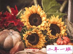 2019感恩节送给老师的一句话祝福 感恩老师的说说