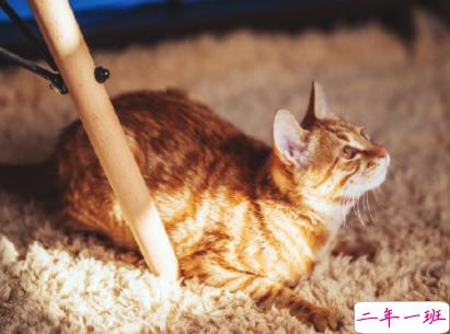 00后说说大全霸气简短 时尚有个性的霸气句子1