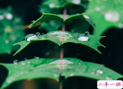 一句话早安心语优美动听 朋友圈早安暖心话2