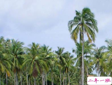 微信说说简短精致 句句点赞的个性说说句子2