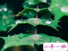 一句话早安心语优美动听 朋友圈早安暖心话