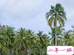 微信说说简短精致 句句点赞的个性说说句子