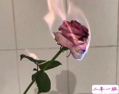 00后女生霸气说说2020 酷到炸的个性说说精选2