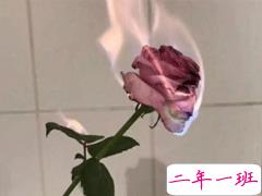 00后女生霸气说说2020 酷到炸的个性说说精选