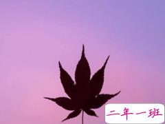 2019十一月微信说说简短经典 11月置顶的高质量说说大全