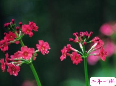 朋友圈说说精致吸引人 十分经典好听的说说大全1