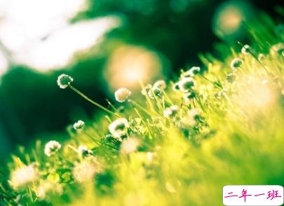 朋友圈说说精致吸引人 十分经典好听的说说大全2