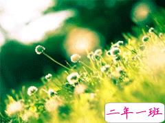 朋友圈说说精致吸引人 十分经典好听的说说大全