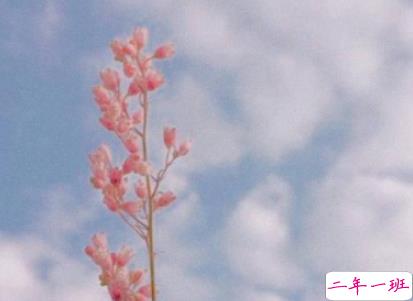 今年很火爆的说说精辟 抖音吸引人的个性说说2