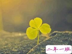 抖音热门经典句子值得收藏 经典又精辟的说说