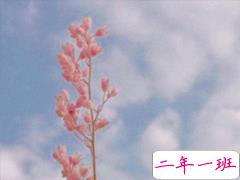 今年很火爆的说说精辟 抖音吸引人的个性说说