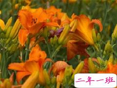 2019教师节说说感谢老师的话 9.10感恩老师的话简短精辟