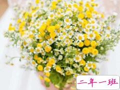 经典说说心情短语2019最新 被无数人点赞的经典句子