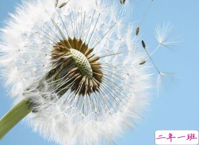 抖音经典语录霸气短句 最火爆的经典说说精选2