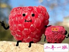 适合发朋友圈的可爱文案 那些甜甜的可爱句子合集