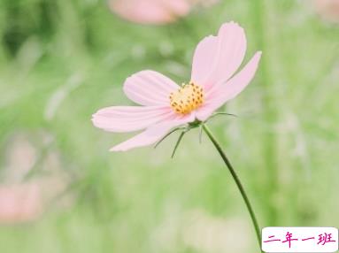 2019夏天天热的说说简短精辟 这个夏天被火焰山承包了1