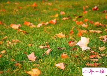 2019天气变冷的朋友圈说说 注意保暖的微信问候语1